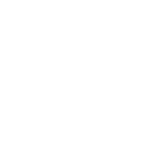 Logo 13